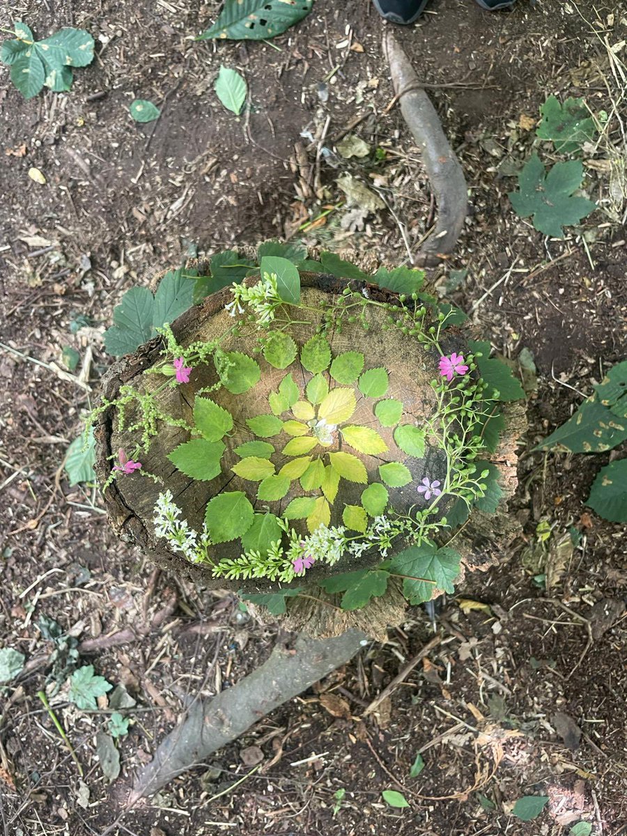 YHA Chester Trafford Hall tweet media