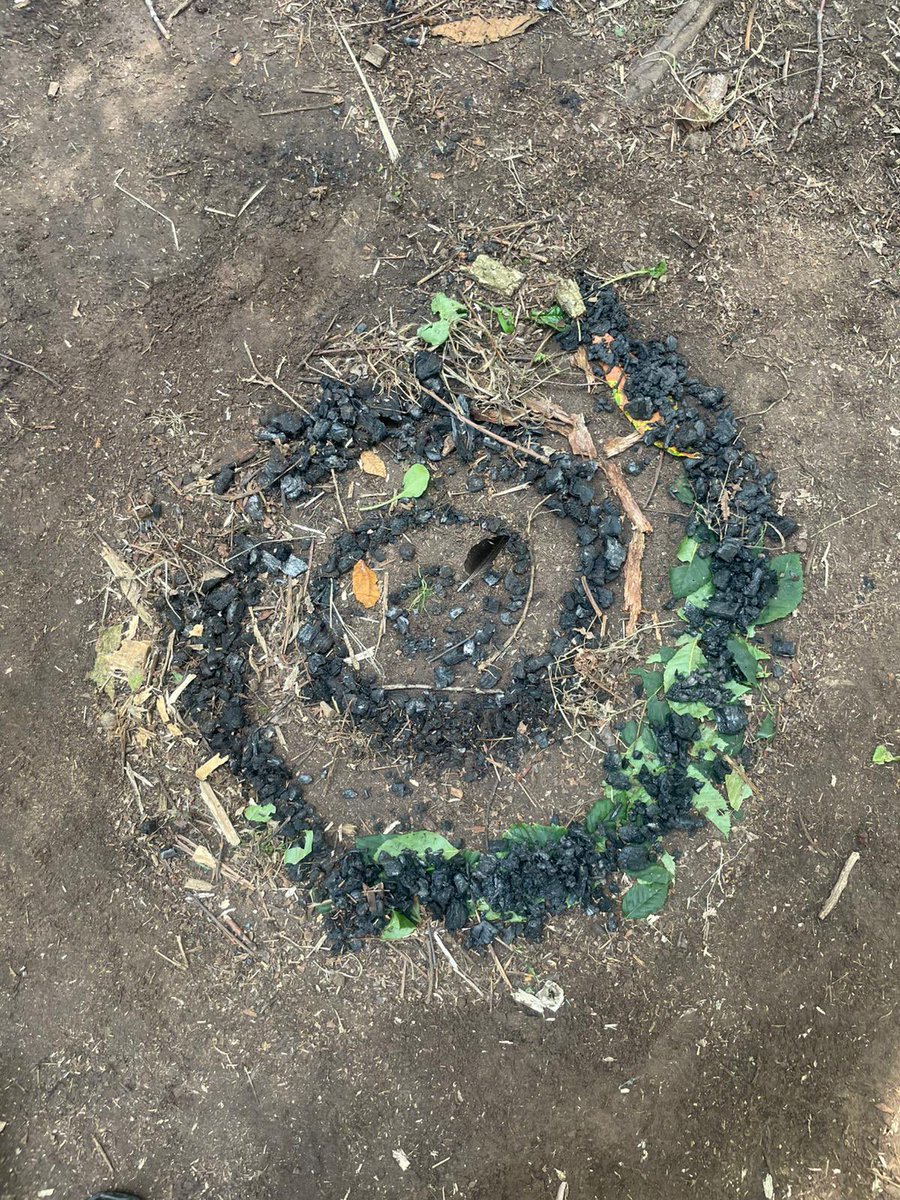 YHA Chester Trafford Hall tweet media