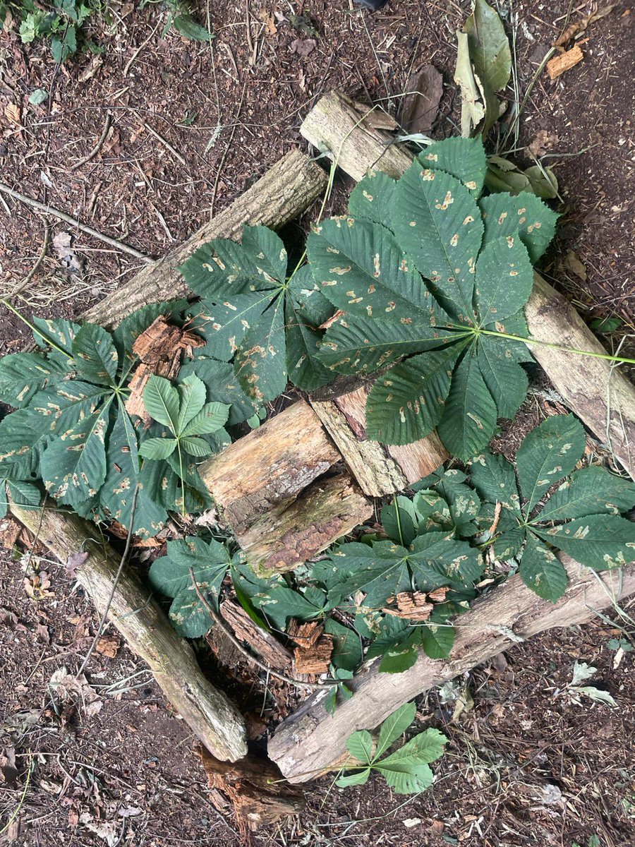 YHA Chester Trafford Hall tweet media