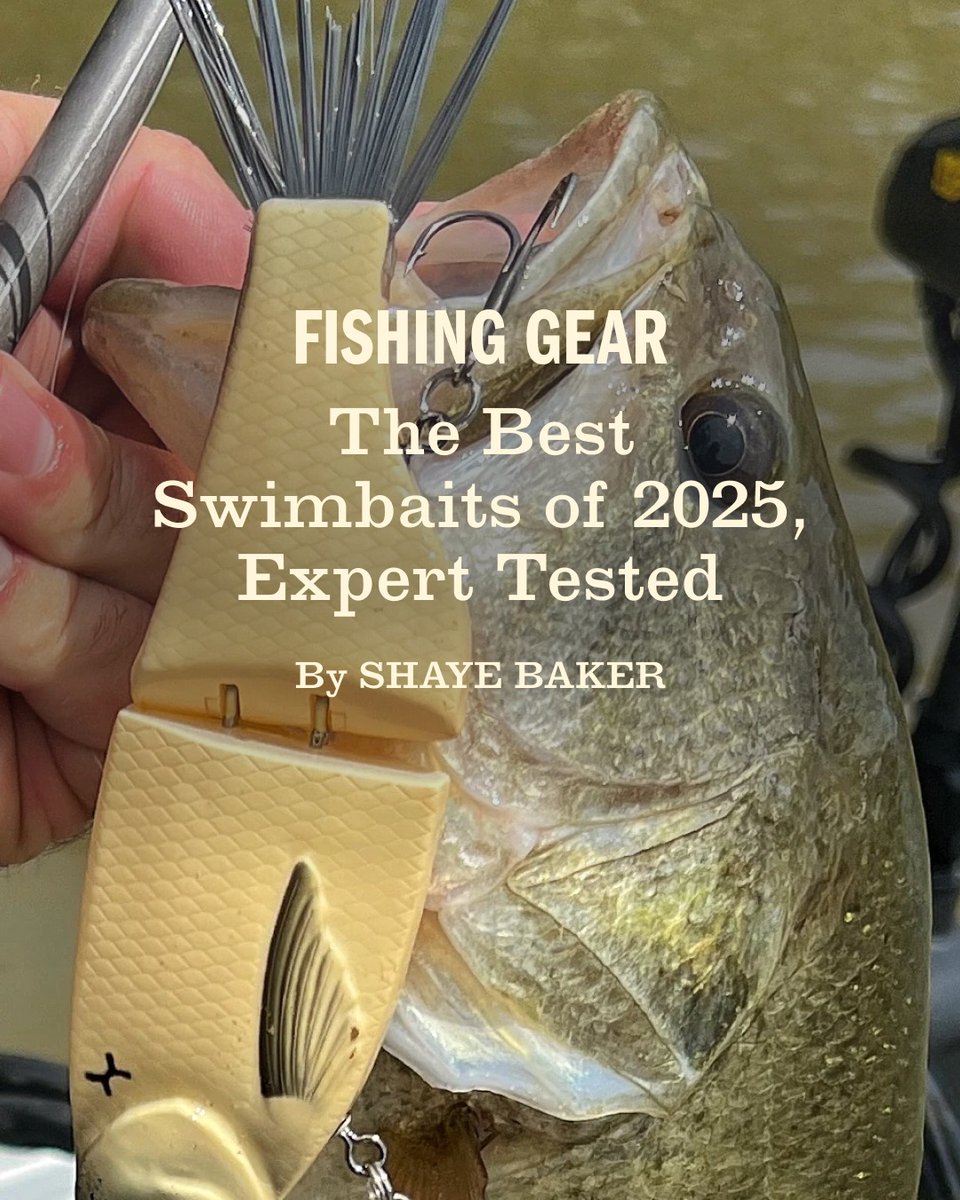 FieldandStream's tweet image. Swimbaits are hotter than ever for landing big bass. We’ve rounded up the best for 2025—from giants to everyday go-tos.

Here is the full guide on our top picks - fieldandstream.com/outdoor-gear/f… 🔥

#BassFishing #Swimbaits #FieldandStream