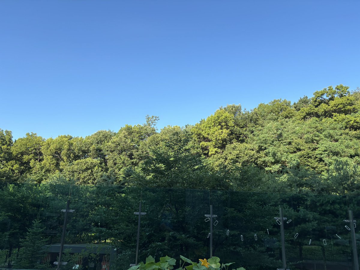 날씨가 정말 제멋대로군.
보기엔 초록의 여름이지만 
이 시원하고 상쾌한 가을 날씨라니..