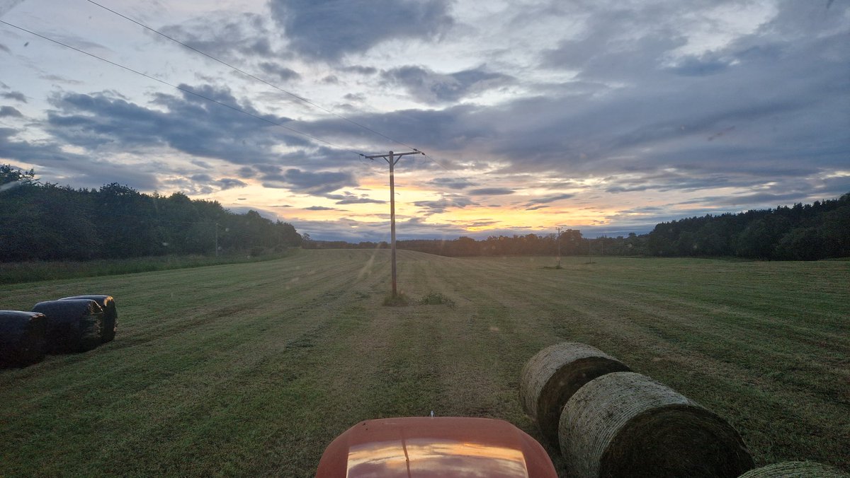 Quality Tucker!! 🍀🌱

Pretty chuffed with this. Reseeded with <a href="/GrassSc/">Grass Science Seeds & SC Nutrition</a> Endurance plus red clover last year. Not seen a gram of fert and has been pretty drouthy this year, but has really bounced this last wee while. This will be targeted for our young stock this winter.