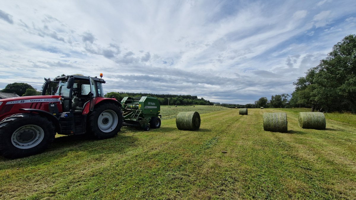 EdinvaleFarm's tweet image. Quality Tucker!! 🍀🌱

Pretty chuffed with this. Reseeded with @GrassSc Endurance plus red clover last year. Not seen a gram of fert and has been pretty drouthy this year, but has really bounced this last wee while. This will be targeted for our young stock this winter.