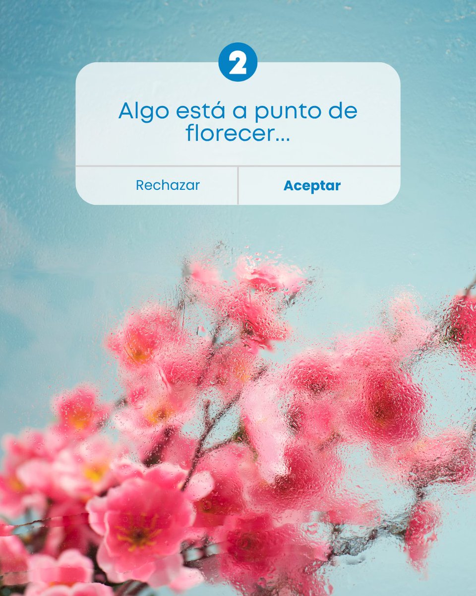 No es de la noche a la mañana, es de raíz🌸