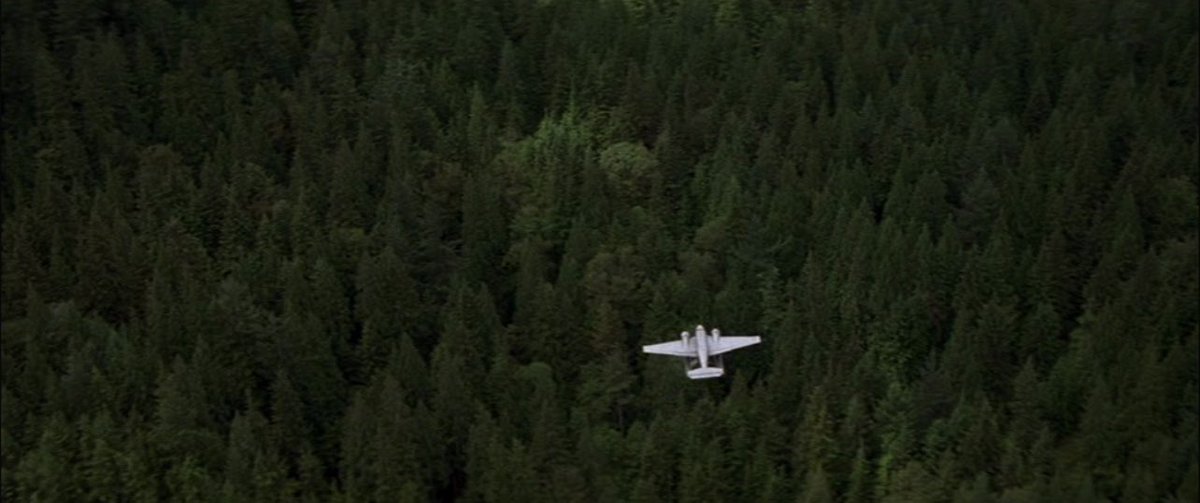 حُذيفة tweet media