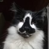 ternuras (@i_misha_i) on Twitter photo 