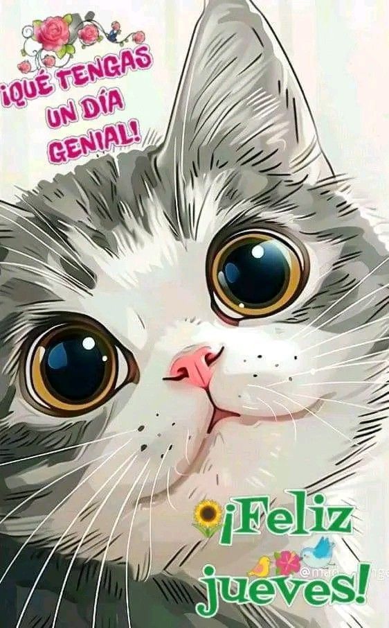 ternuras (@i_misha_i) on Twitter photo 