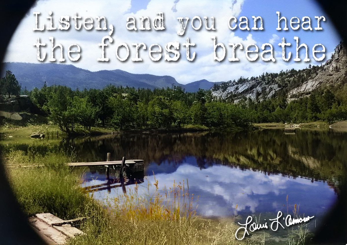 Louis_LAmour's tweet image. From BENDIGO SHAFTER
louislamour.com/novels/bendigo…
Bendigo Begins building . . .
When I went up the slope with Bud beside me, I chose the trees with care, choosing not only for size and straightness, but to leave the forest as it was, to give the trees room to grow taller and…