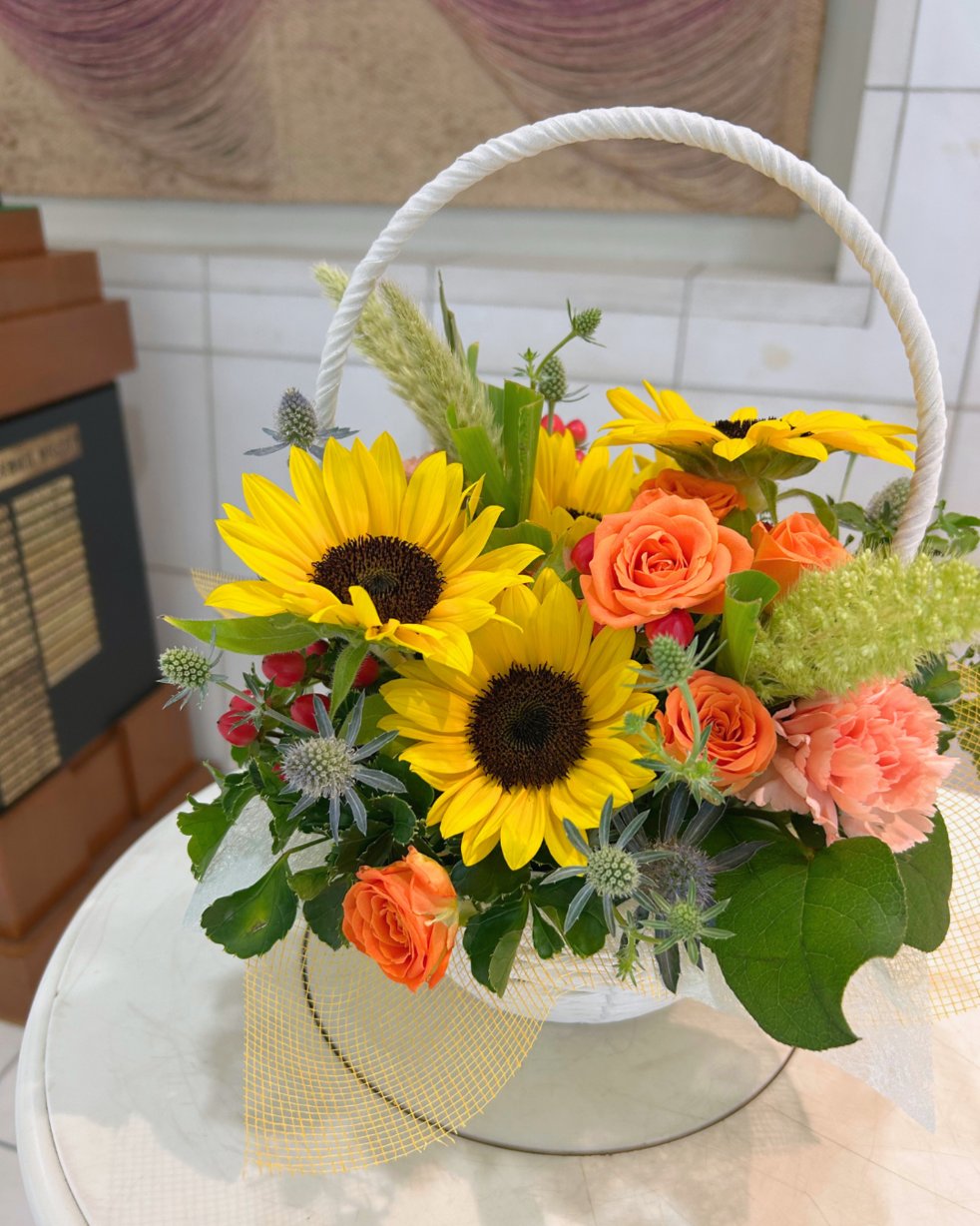 バスケットアレンジ - Search / X