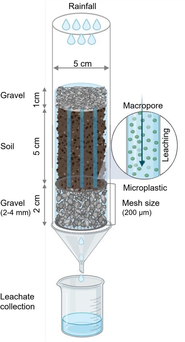 European Journal of Soil Science (@ejsoilscience) on Twitter photo NEW
Effect of Preferential Microplastics Leaching Through Macropores on Vertical Soil Particle Transport
Maqbool et al.
doi.org/10.1111/ejss.7…
<a href="/Univcordoba/">Universidad Córdoba</a>
<a href="/wileyearthspace/">Wiley Earth and Space Science</a> <a href="/SUMjournal/">Soil Use and Management</a> <a href="/Soil_Science/">British Society of Soil Science</a>
#Soil #Research NEW
Effect of Preferential Microplastics Leaching Through Macropores on Vertical Soil Particle Transport
Maqbool et al.
doi.org/10.1111/ejss.7…
<a href="/Univcordoba/">Universidad Córdoba</a>
<a href="/wileyearthspace/">Wiley Earth and Space Science</a> <a href="/SUMjournal/">Soil Use and Management</a> <a href="/Soil_Science/">British Society of Soil Science</a>
#Soil #Research
