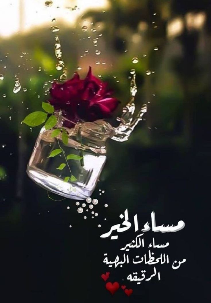 asaerd187's tweet photo. مساء السعادة للبسطاء❤️
تلك الأنفس التي لا تجد فيهاإلاالمشاعرالصادقة
 إذا أحبّت أحبت❤️ بصدق وإن جُرحت 
رحلت بصمت❤️
مساء الطيبة والنقاء لقلوبكم اصدقائي
مساؤكم إكليلا" من الراحة والهدوء
مساؤكم سعادة وفرح يعانق قلوبكم
وارواحكم النقية❤️
طاب مساؤكم بالخير والسعادة والأمل❤️ #شاهد_الآن https://t.co/X37tg5bZL2