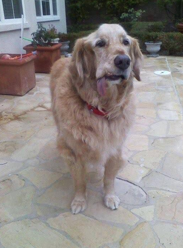 I suffered a stroke, but my mom thinks I'm still beautiful. Do you agree ?