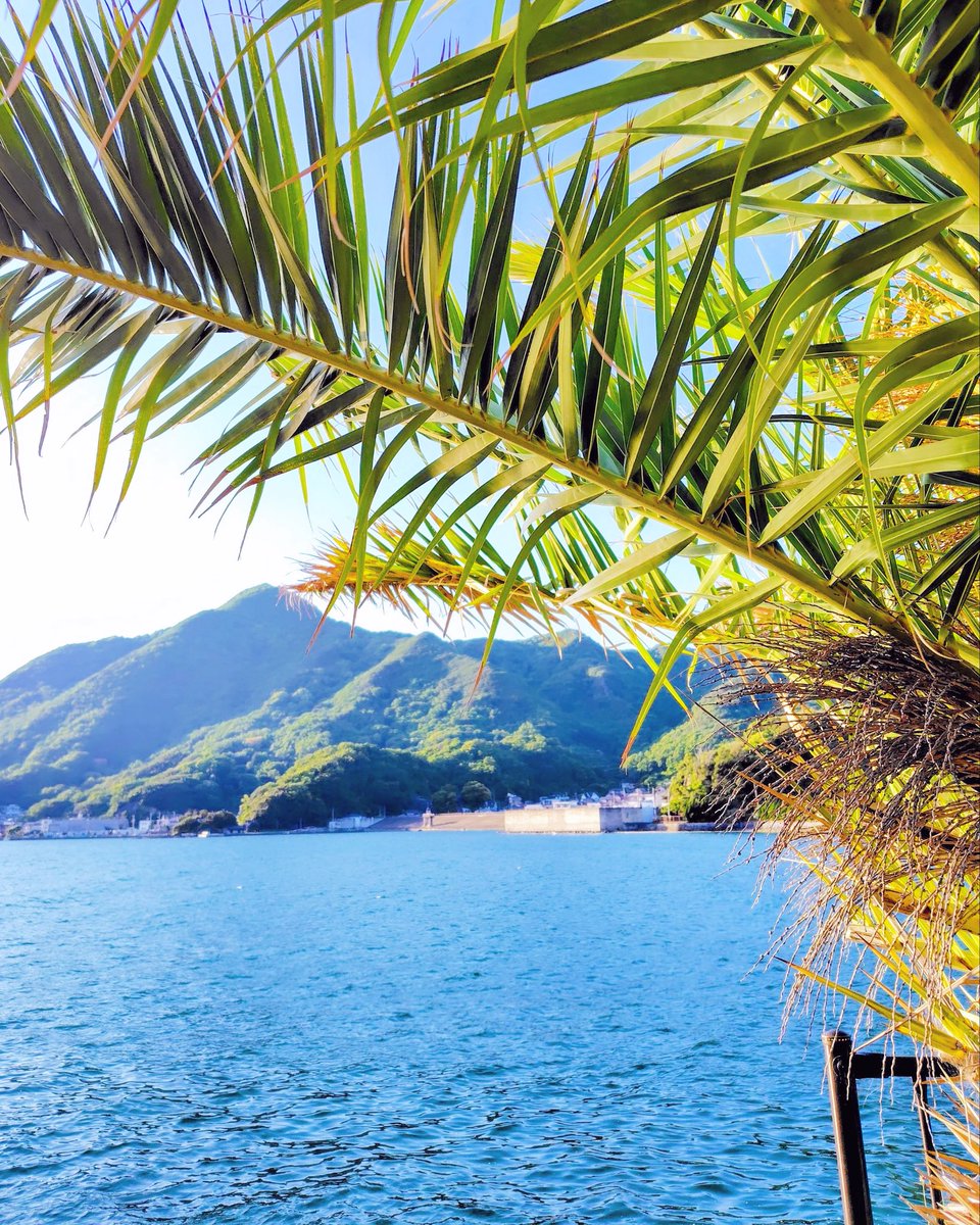 おはよ🩵水分とってﾈ♡対米関税交渉~赤澤交渉してる?石破首相のお使いでどうせ車の関税だけ主張してんでしょ?交渉一番乗りでやってたよねw
石破さん[なめられてたまるか]って､その姿勢は👍️そろそろ直対の頃じゃネ゙!気合い入れて戦って欲しいよw今までのアメリカの言いなりの日本にウンザリなの🌈
