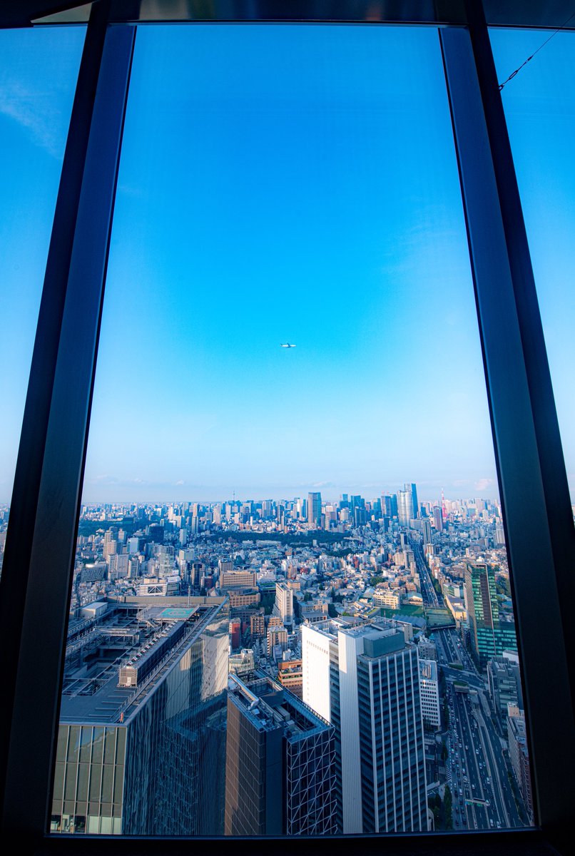 渋谷スカイの窓から見る夏の空が綺麗でした