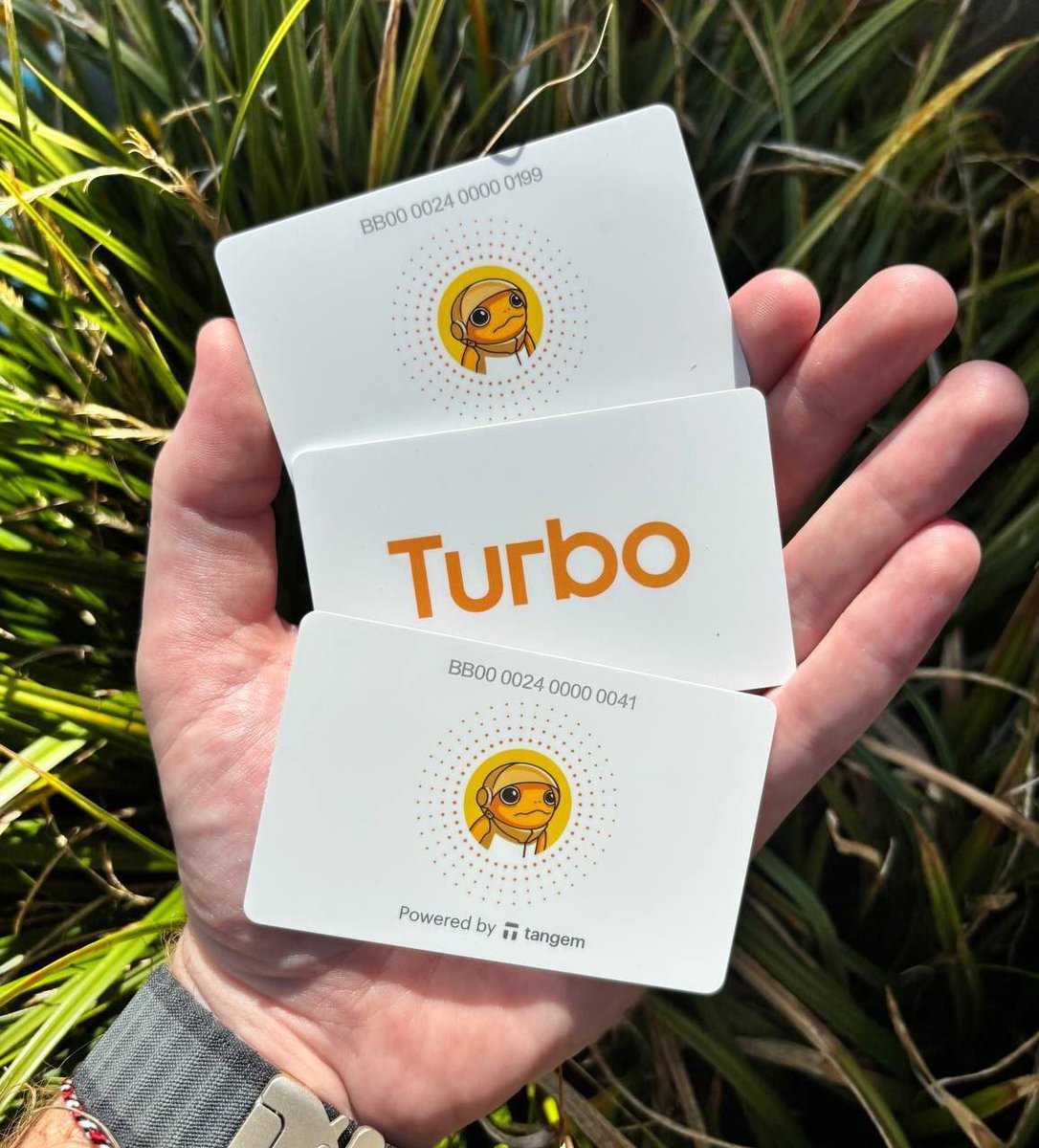 Secure. Simple. $TURBO
The official TURBO x Tangem Wallet is more than just a cold wallet - it’s a statement.
Own your keys. Hold your future. 🐸💛
Powered by <a href="/Tangem/">Tangem</a> 

Grab yours here ➡️ turbo.tangem.com