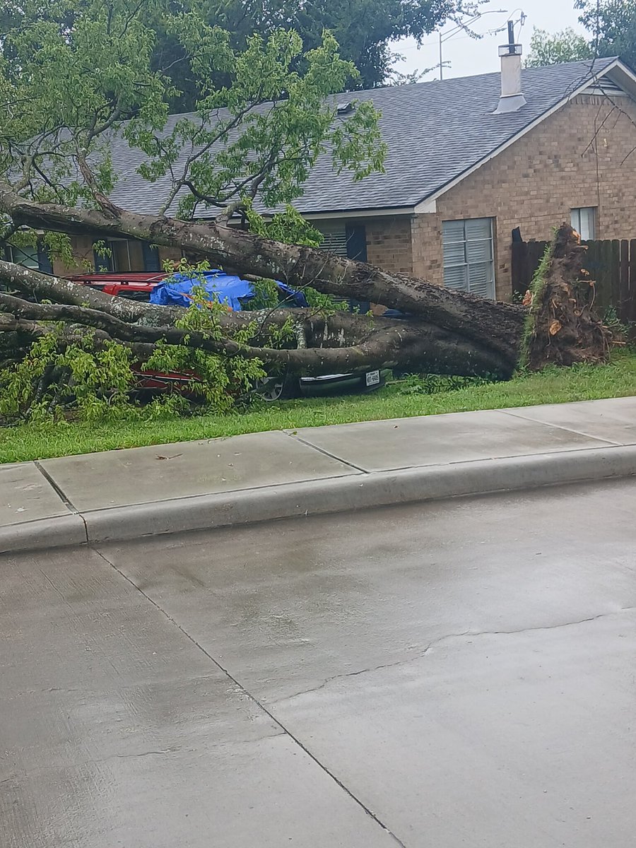 Rusty Surette tweet media