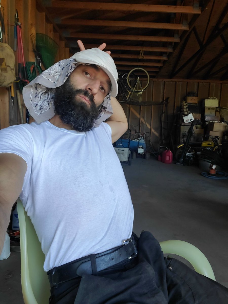 @doggiesatnight (@nathanwhipple) on Twitter photo 