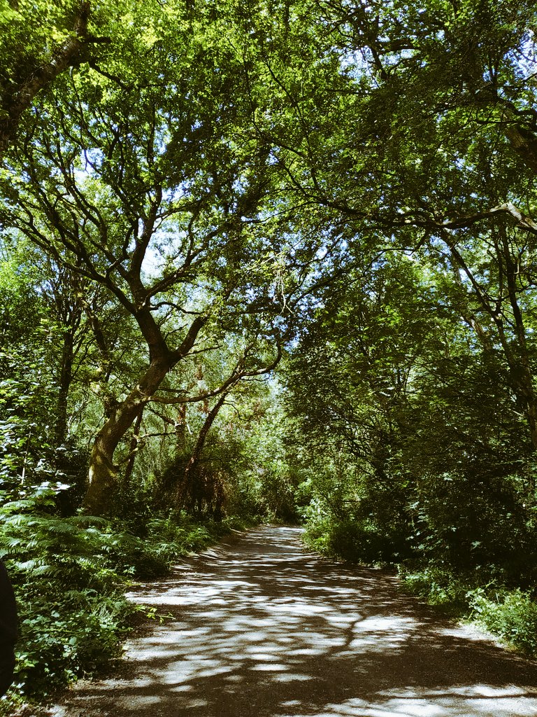 Anyone want a stroll~ 🍃 | Thurstaston, Wirral