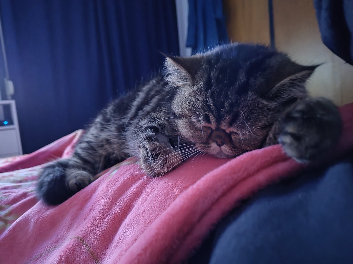 Yo me tengo que ir a la cancha en un ratito y ella así.