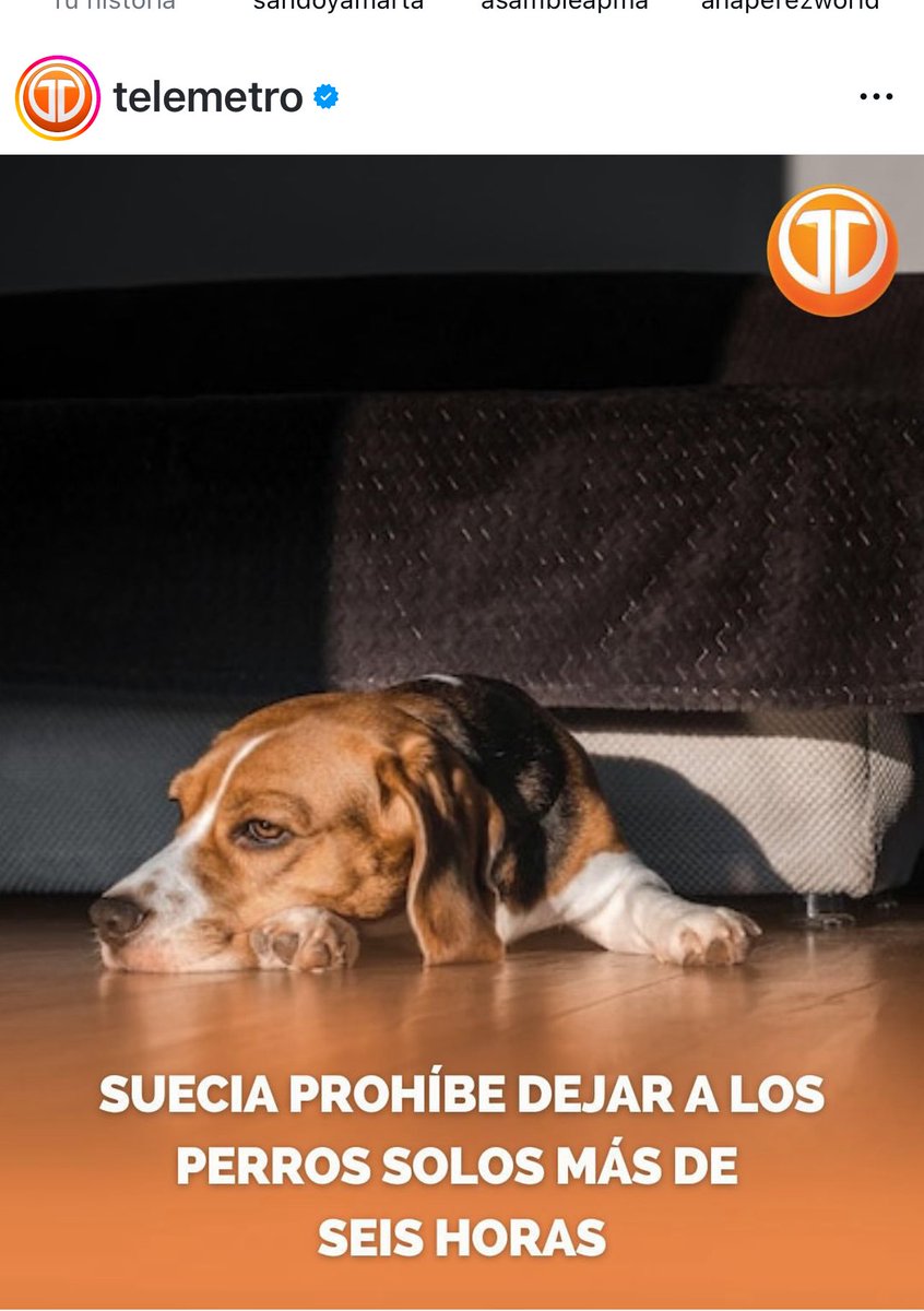 Viva !!!! Así debe ser! 👇🏼