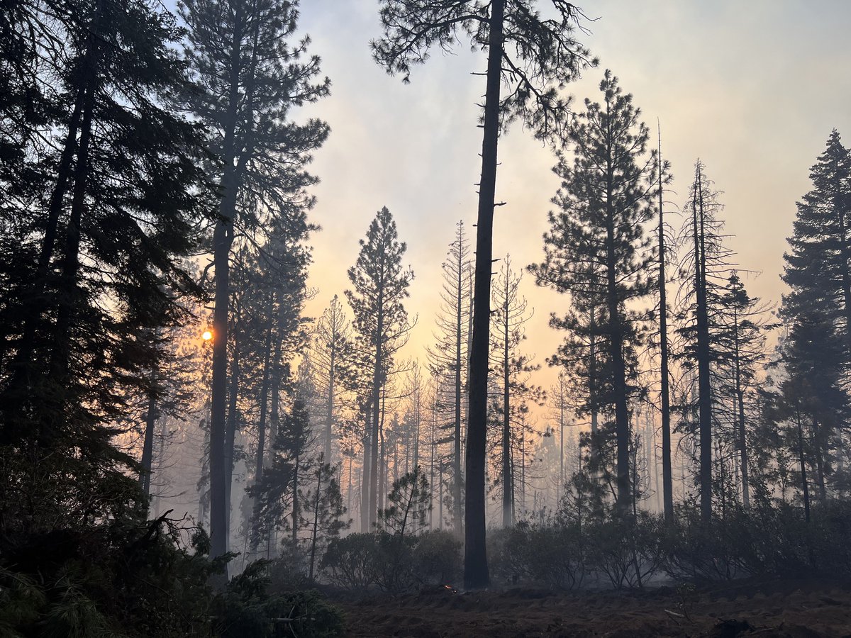 OSFM's tweet image. CONFLAGRATION: We are mobilizing our Red IMT and five structural task forces to the Elk Fire in Klamath Co. The fire sparked yesterday AM and has spread quickly.
There are evacuations in place you can find information here: protect.genasys.com/search
LINK: apps.oregon.gov/.../Post/elk-f…