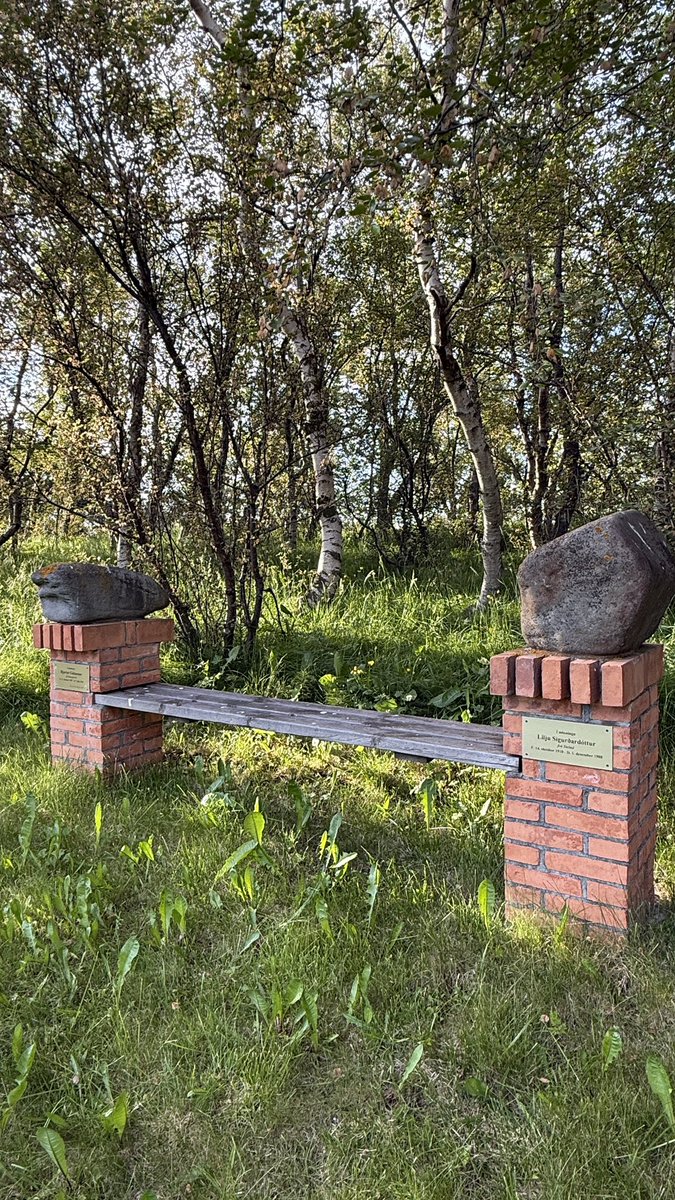 LiljaWriter's tweet image. With stones from their birthplaces, this bench in Liljulundur in North Iceland holds the memory of my grandparents — in the garden they started planting in 1945. 🌿 #familytrees #FamilyHistory