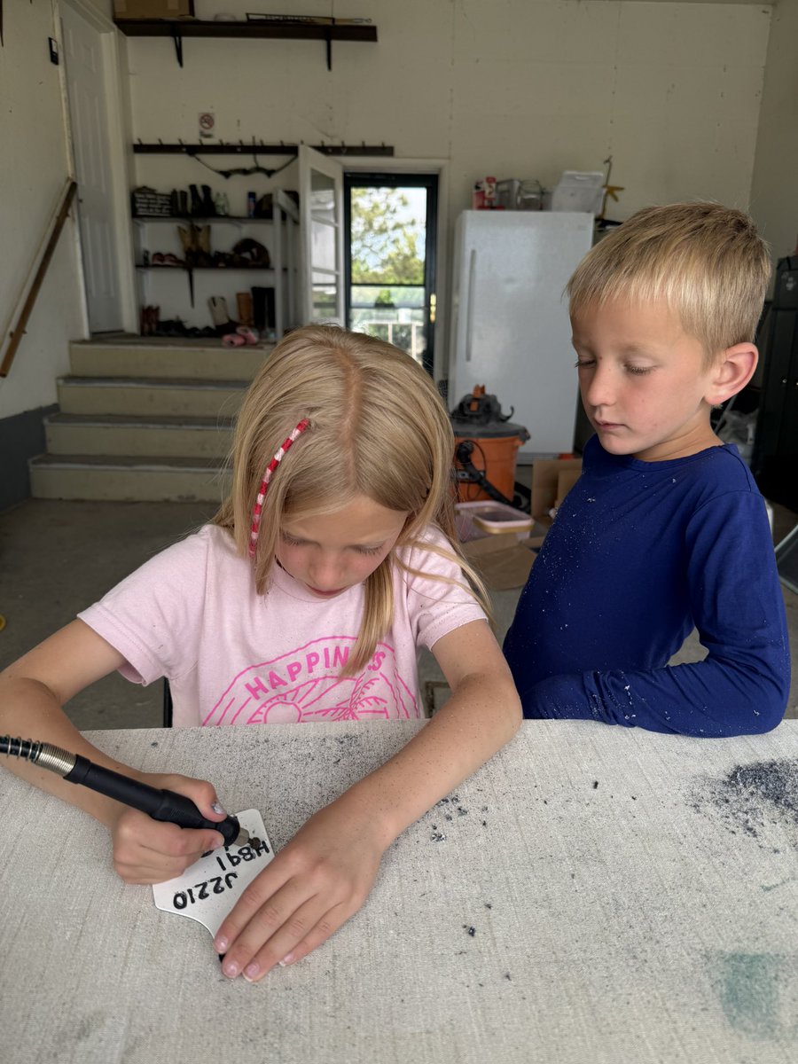Fall ‘25 prep work! 
.
.
.
#debruyckercharolais #charolais #ranchkids #fallwork #montana
