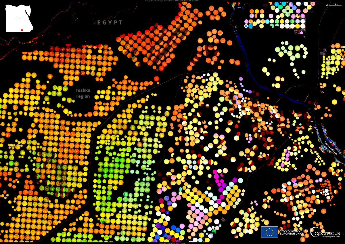 🌾 Egypt’s Toshka Project is turning desert into farmland using water from Lake Nasser. 

This image from #CopernicusEU #Sentinel2 shows crop growth stages in the Sahara’s reclaimed lands.

🛰️ Satellite data supports smart irrigation &amp; crop monitoring.

#ImageOfTheDay