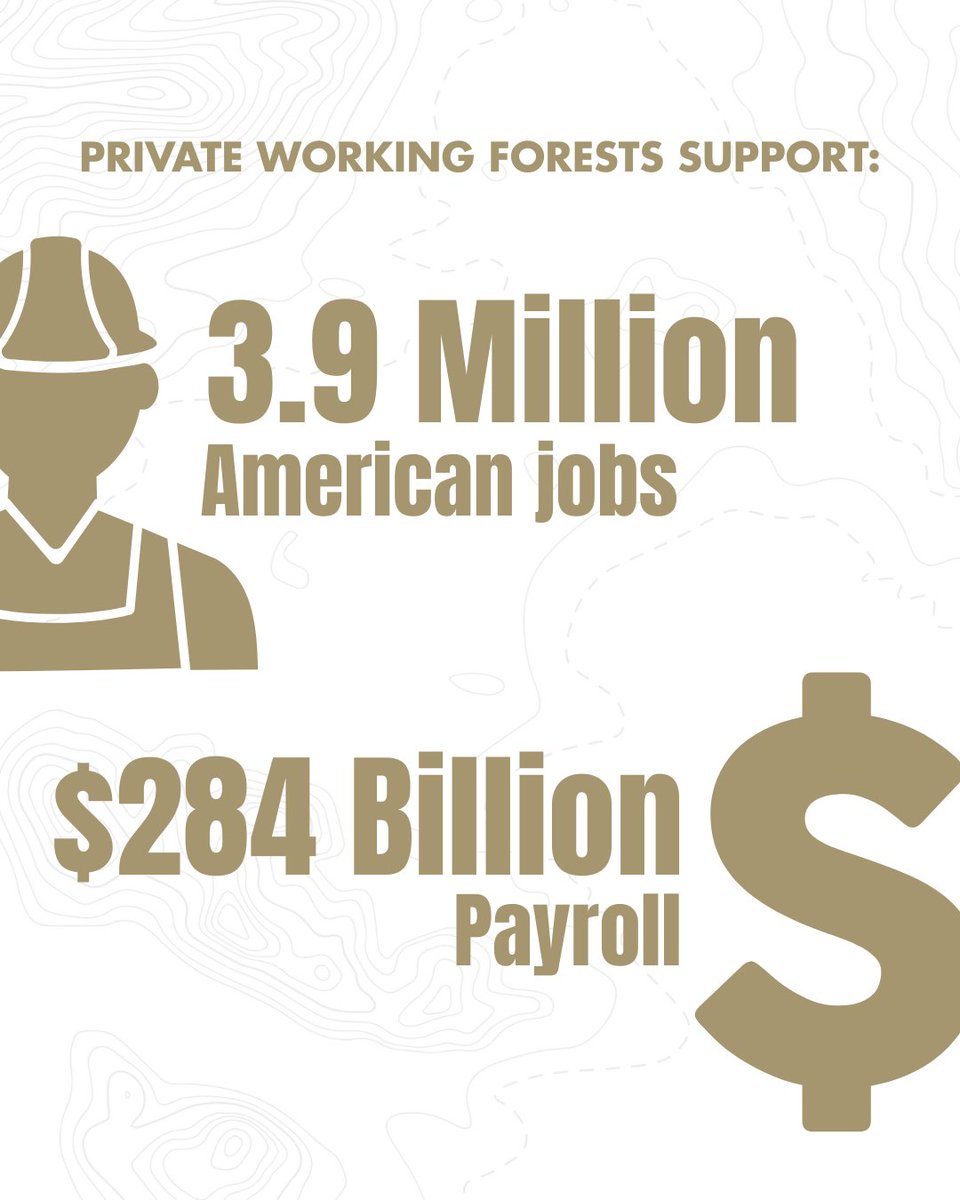 NAFO_Forests's tweet image. Modern forestry helps sustain healthy forests and healthy economies. #AmericanJobs #EconomicImpact #ModernForestry