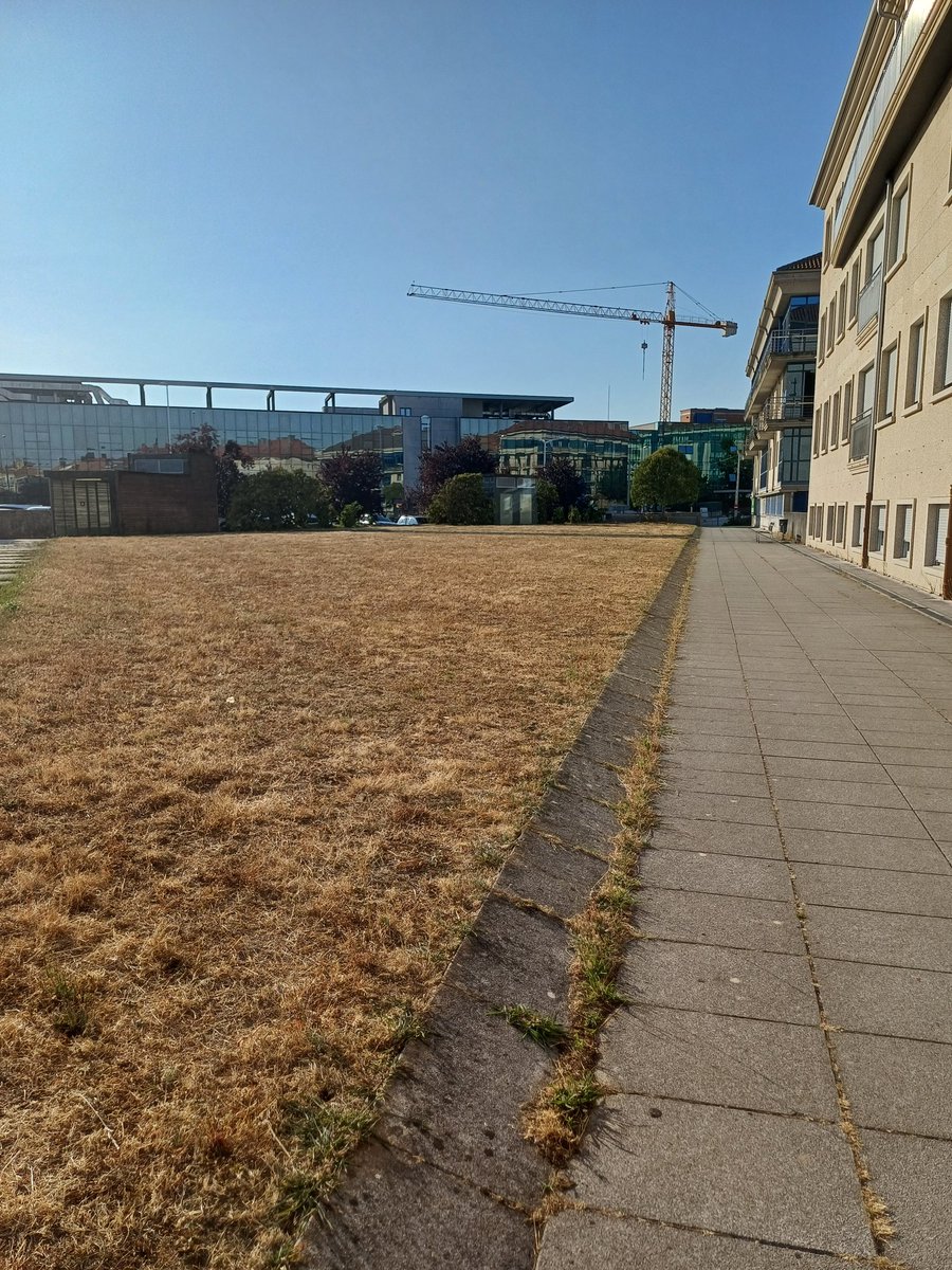 Jesús Martín Arce tweet media