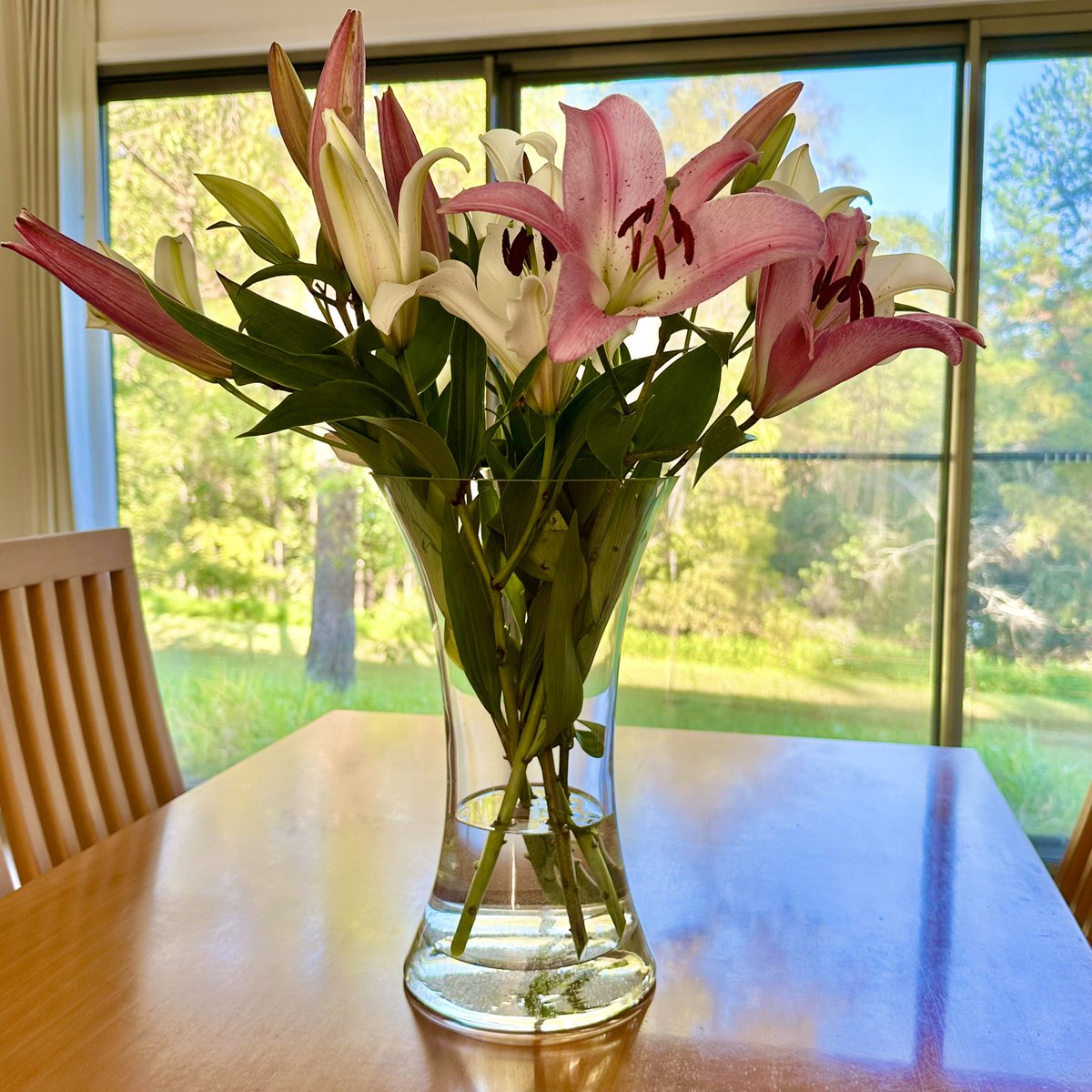 Touch of nature brings beauty to the day.