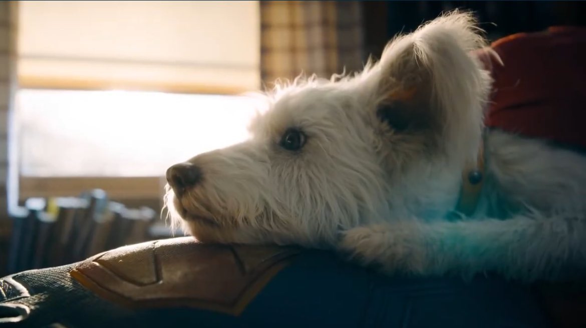 I don't understand the people calling the #superman movie boring, i found it very charming and sincere. Also, Krypto is easily a top 10 movie pet for me.