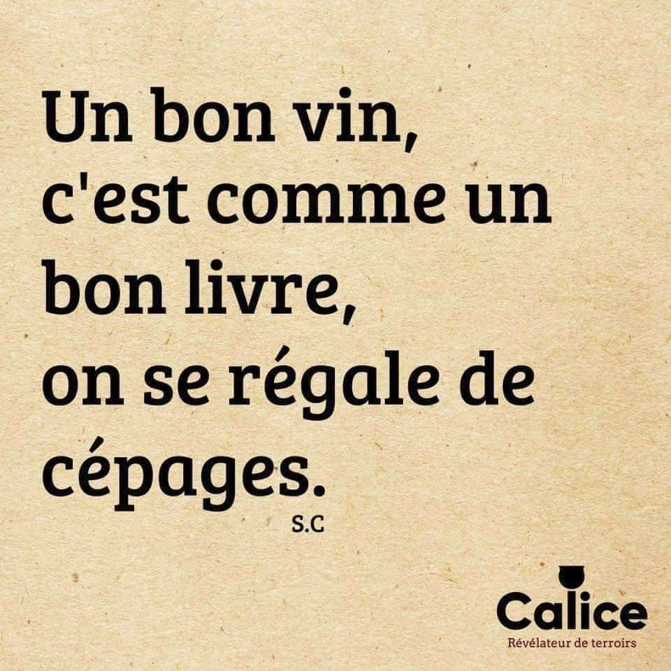 Kateri Seraphina (@kateriseraphina) on Twitter photo 