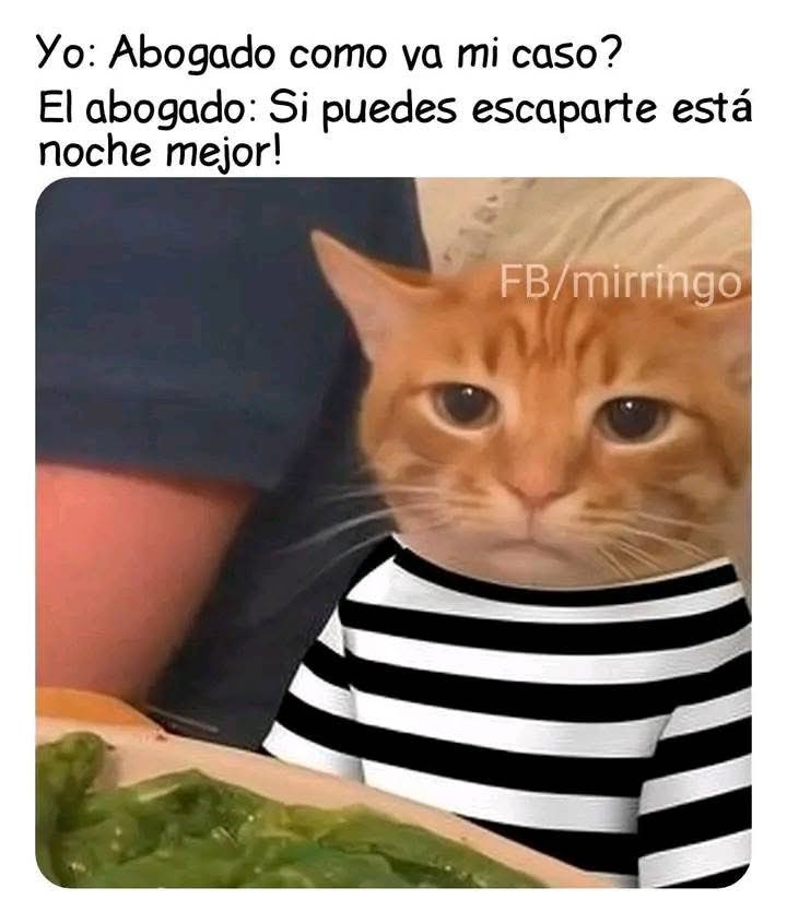 Buenas tardes…
#FelizMiércoles