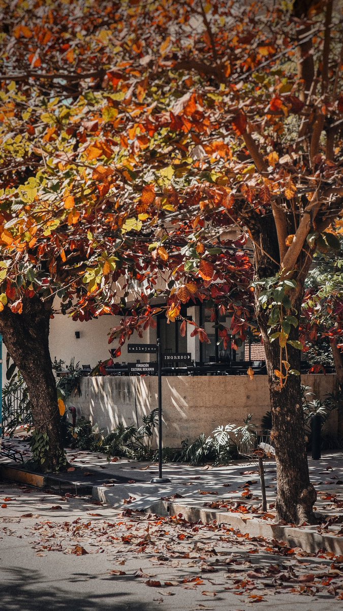 Invierno bien otoñal por acá.