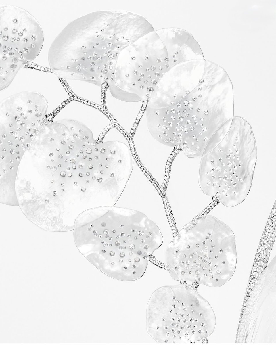 ブシュロンの新作のハイジュエリー、カルト ブランシュ コレクション 2025 impermanence。1月のハイジュエリーのアーカイブとは全く違う切り口。今年は両方のコレクションでモノトーンなのが1つのテーマなのかな。ぜひ拝見したい物です…！