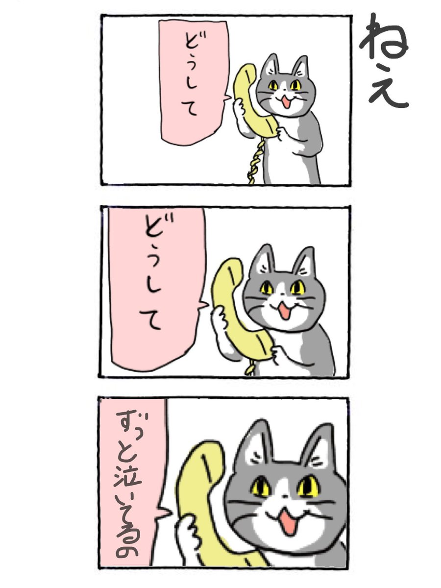 genbaneko_bot's tweet image. 今日も一日