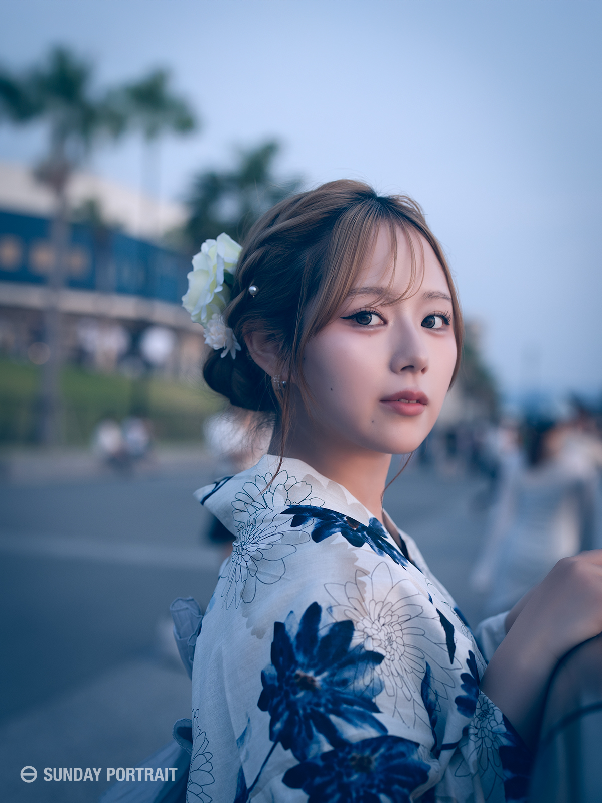 ゾロ  バースデー　ポートレート Amazon.co.jp: エクセレントモデル ポートレート・オブ