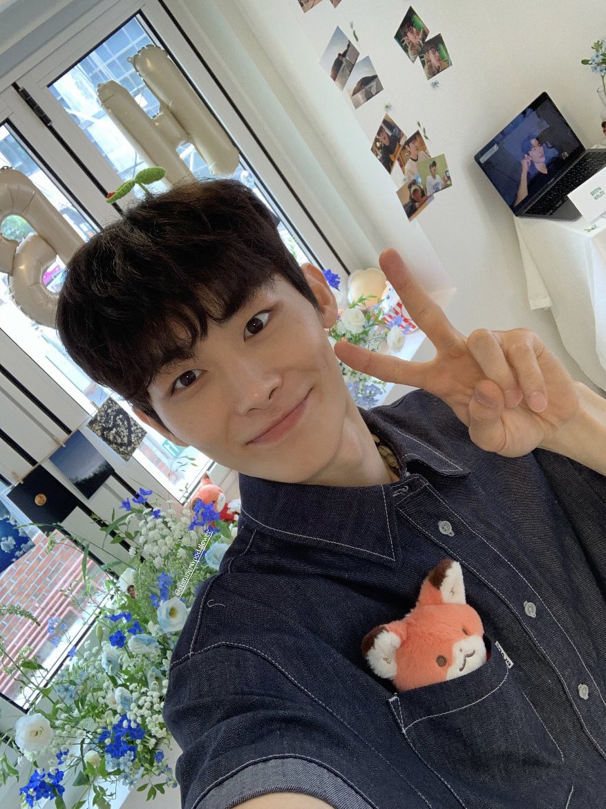 썸머우드 tweet media