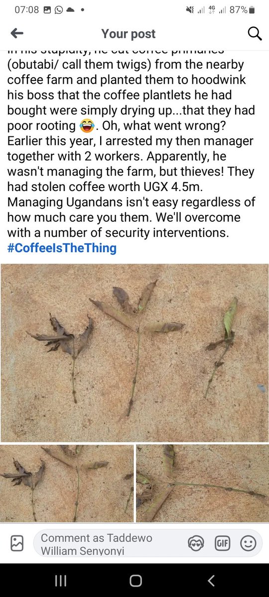 TaddewoS's tweet image. Honesty and integrity crisis in Uganda!