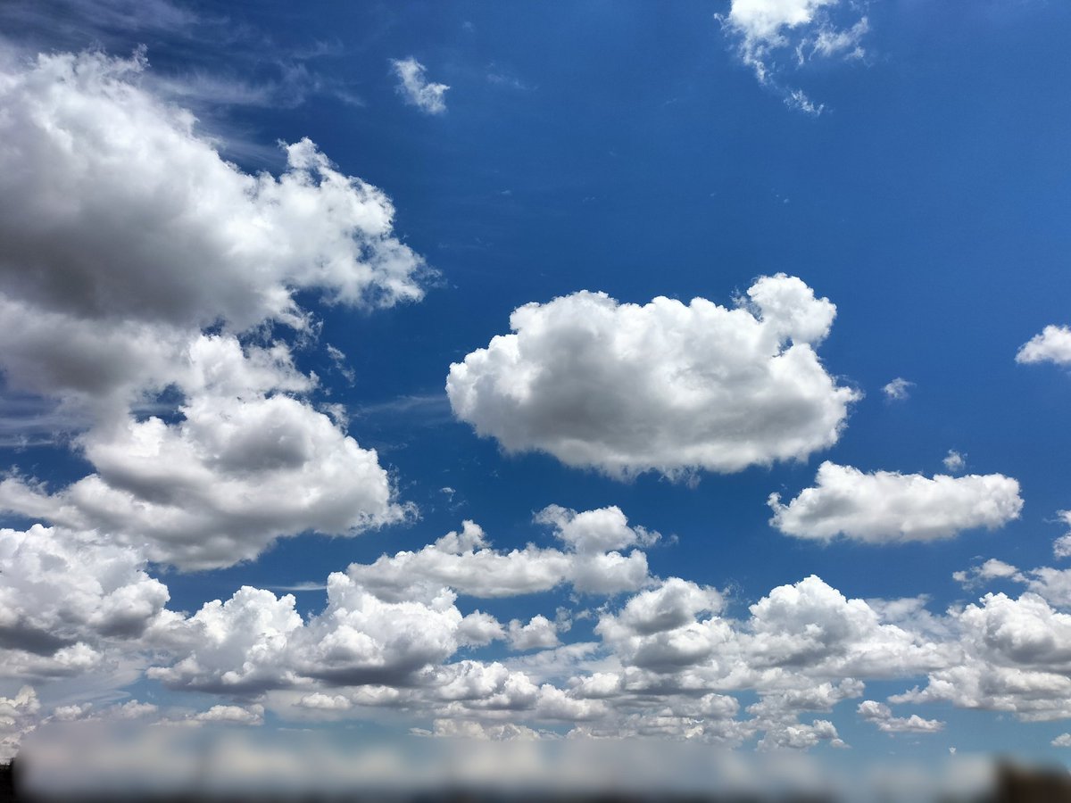 雲の主張☁️