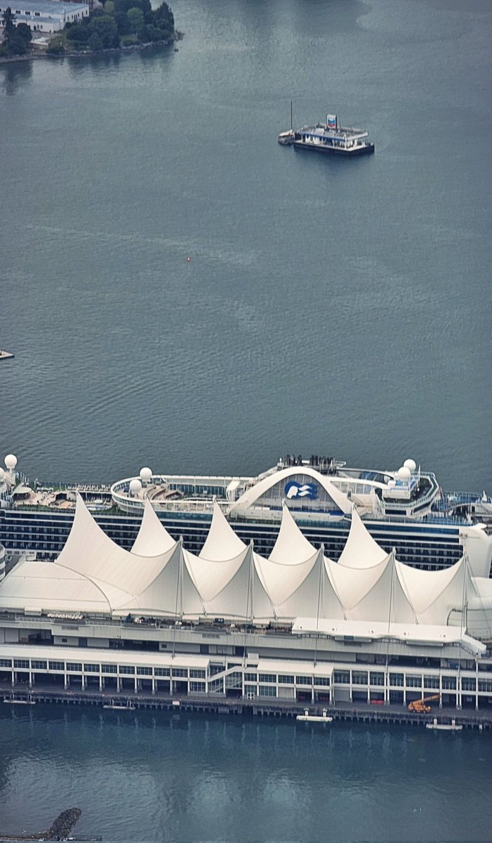 TrishJewison's tweet image. Hump Day photo dump around #Vancouver 📷