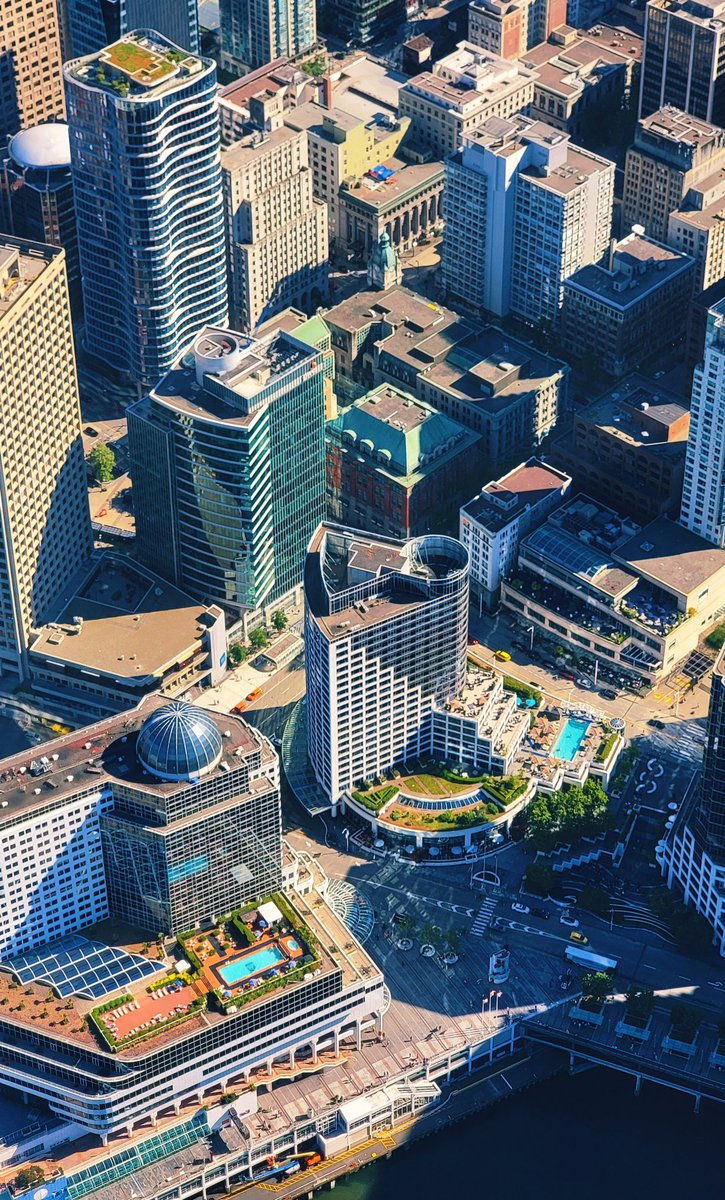 TrishJewison's tweet image. Hump Day photo dump around #Vancouver 📷