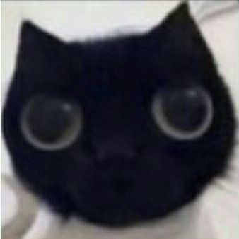 OFHELLSlNG's tweet photo. ⠀
⠀
⠀⠀⠀he is a cat.
⠀⠀⠀that's all.
⠀⠀⠀a slender black cat.

⠀⠀⠀ignore the red eyes.
⠀
⠀ https://t.co/d5MrWdEAbQ