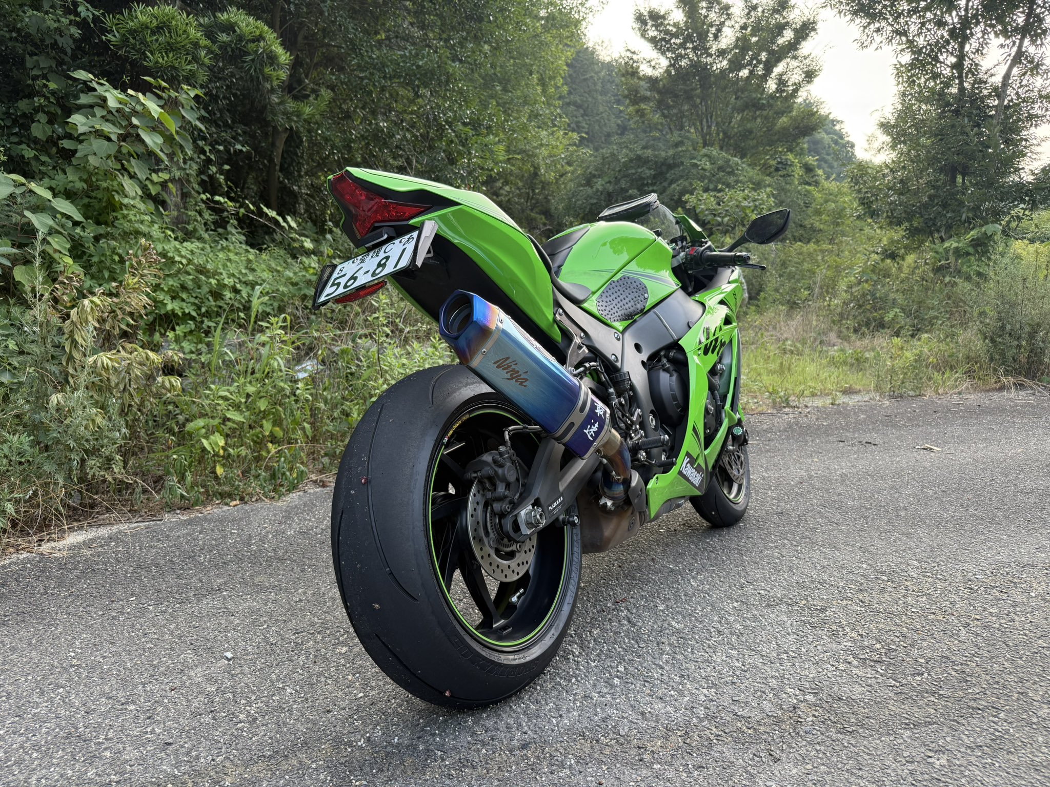 B1 サイズ 自作 「新緑」明るい春が来ます。 BEET 入荷待ち ビート スモークスクリーン Kawasaki Ninja ZX