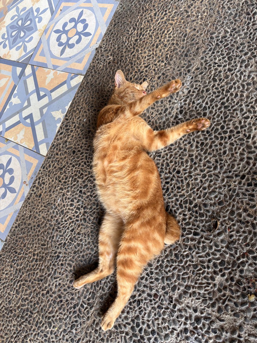 Please do not disturb ⛔️

📸 by me