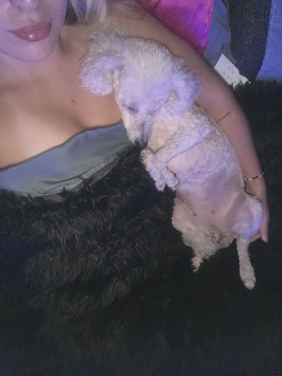 MandyyMemess's tweet image. Just me and my dog holding it down tonight. Indy guys, who's got better cuddle game? 💋 #Indynights #latenightfeels #Cuddles