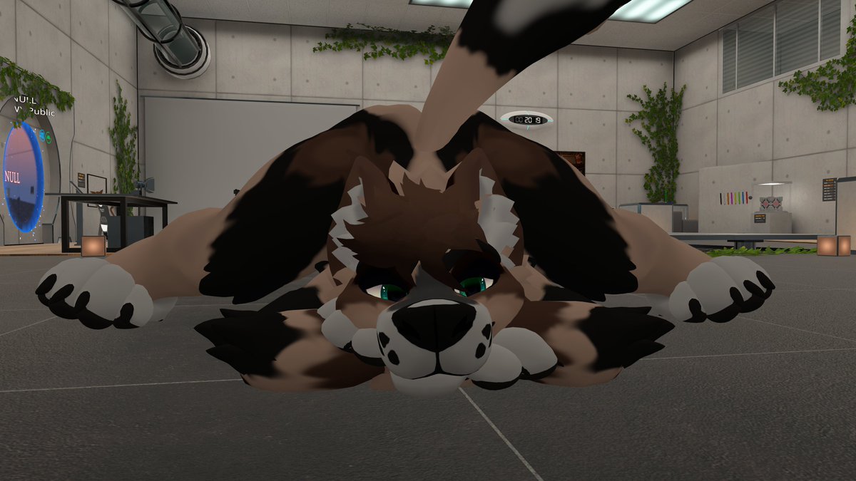 what's happening fluffs