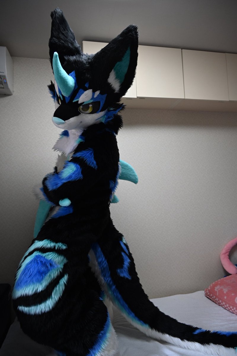 あせろ (@megareku) on Twitter photo 