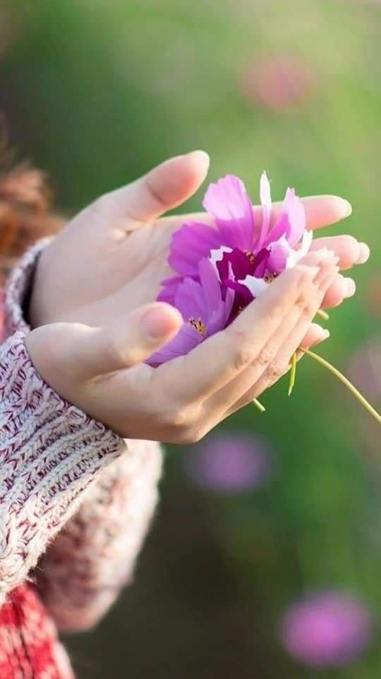 ثقيلة الطبع ..
 لكن فـ الهوى طفلة ..
تضيع في ساعة الغيرة ، ملامحها ! . . 

مُلفتـــــــة
كـ قصيــدة يتساءل الشعراء عن كاتبها !!🩶🩶

 صباح  الورد 🌹